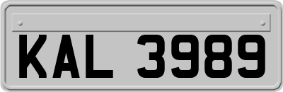 KAL3989