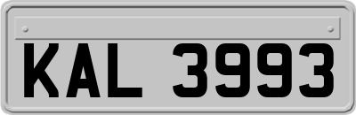 KAL3993