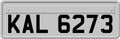 KAL6273