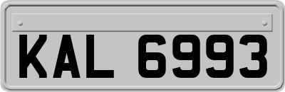 KAL6993