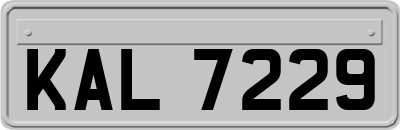 KAL7229
