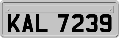 KAL7239