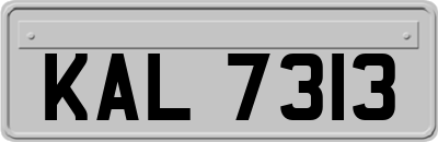 KAL7313