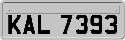 KAL7393