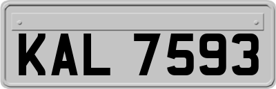 KAL7593