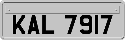 KAL7917