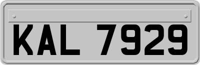 KAL7929
