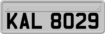 KAL8029