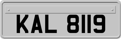 KAL8119