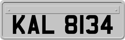 KAL8134
