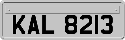 KAL8213