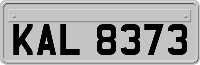 KAL8373