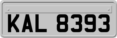 KAL8393