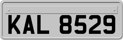 KAL8529