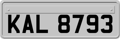 KAL8793