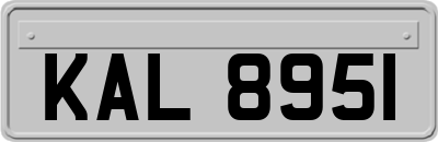 KAL8951