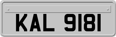 KAL9181