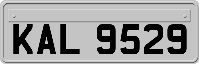 KAL9529
