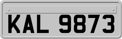 KAL9873