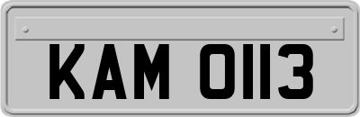 KAM0113
