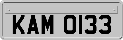 KAM0133