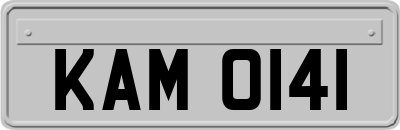 KAM0141