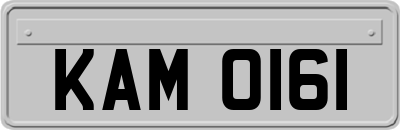 KAM0161
