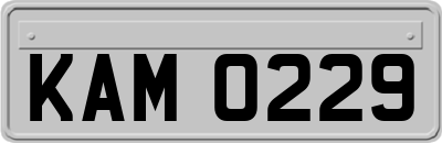 KAM0229