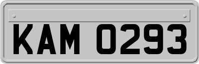 KAM0293