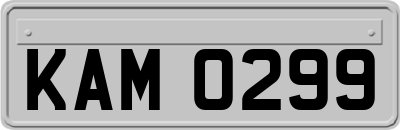 KAM0299