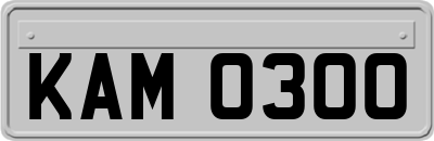 KAM0300
