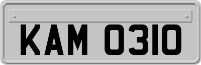 KAM0310