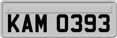KAM0393