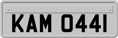 KAM0441
