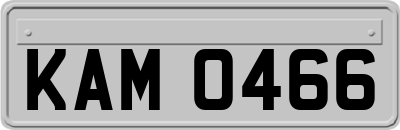 KAM0466