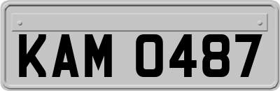 KAM0487