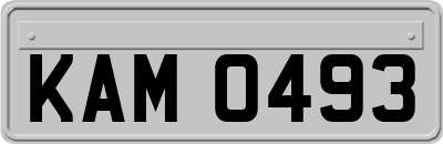 KAM0493