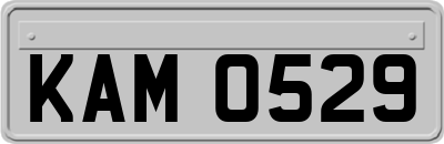 KAM0529