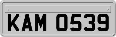 KAM0539