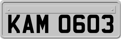 KAM0603
