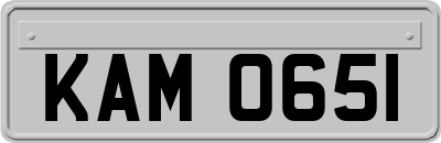 KAM0651