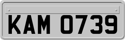 KAM0739