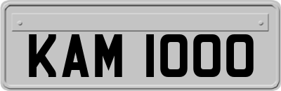 KAM1000