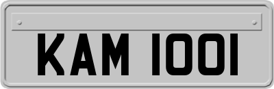 KAM1001