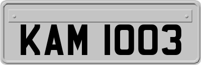 KAM1003
