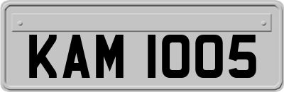KAM1005