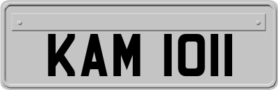 KAM1011