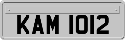 KAM1012