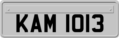 KAM1013
