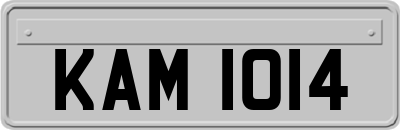 KAM1014